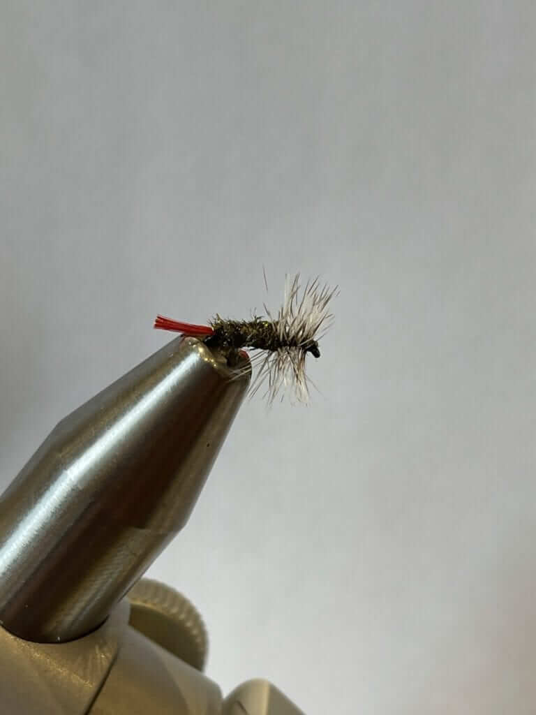 5 tips for grayling fishing in the bräurup district