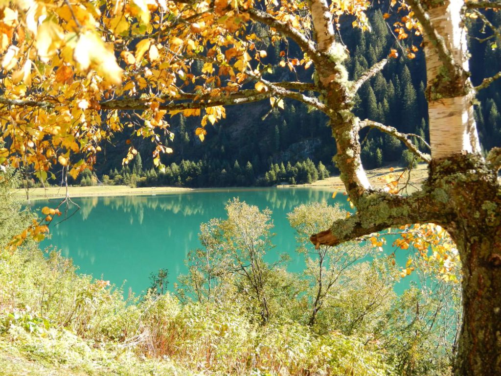 Herbstliche Landschaft mit einem glitzernden grünen See und buntem Laub im Nationalpark.